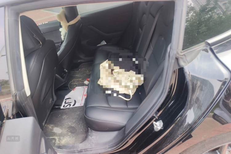 Tesla Model 3 2021 car image #19