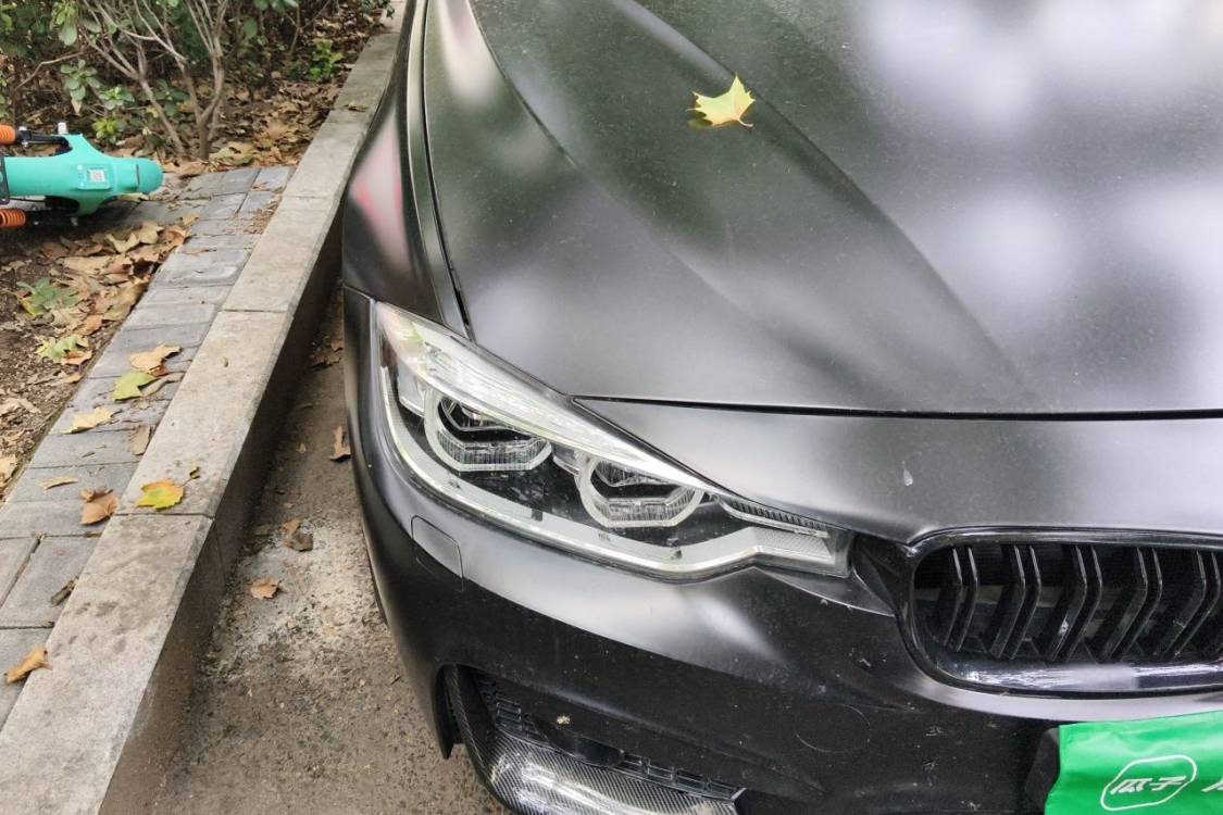 BMW 3 Series 2018 car image #7