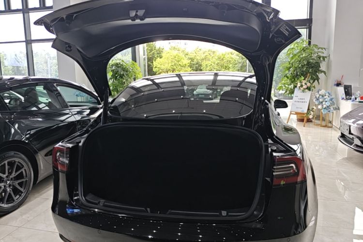 Tesla Model 3 2021 car image #19