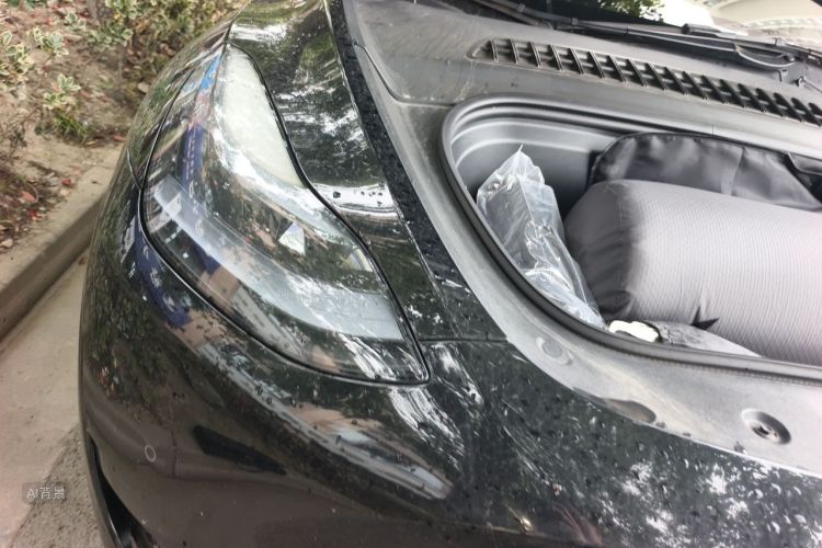 Tesla Model Y 2023 #8 Tesla Model Y 2023 immagine di auto #8