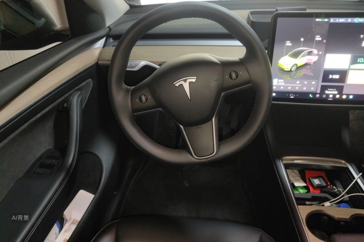 Tesla Model Y 2023 car image #12