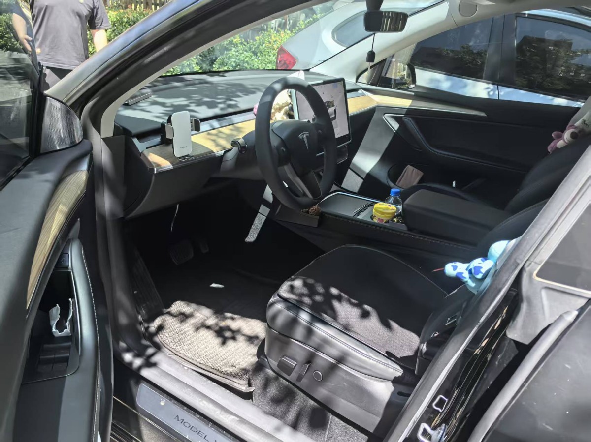 Tesla Model Y 2023 car image #2