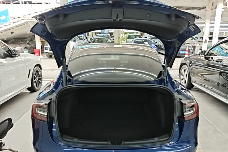 Tesla Model 3 2021 car image #19