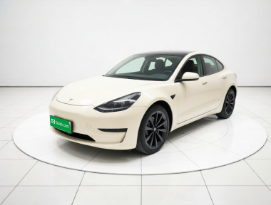 Tesla Model 3 2022 Tesla Model 3 2022 car image