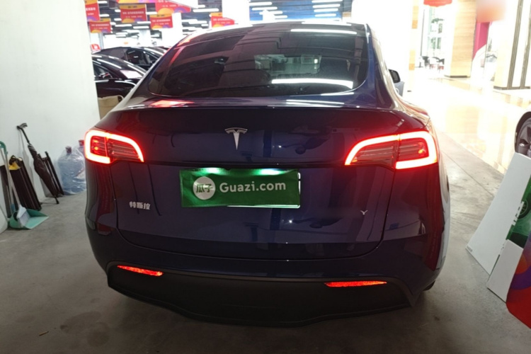 Tesla Model Y 2021 car image #6