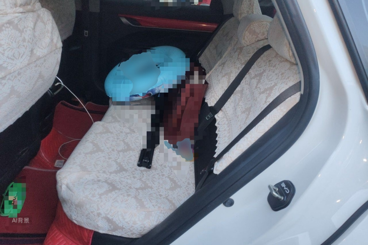 GEELY Binray 2021 car image #19