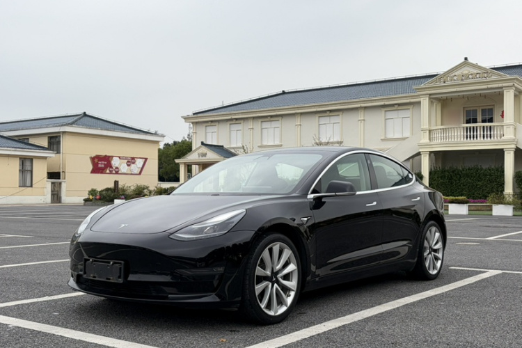 Tesla Model 3 2020 imagem de carro #2