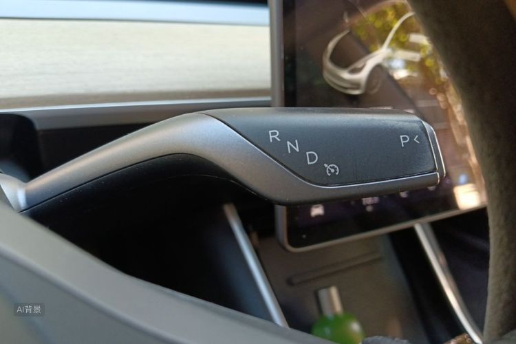Tesla Model 3 2020 car image #16