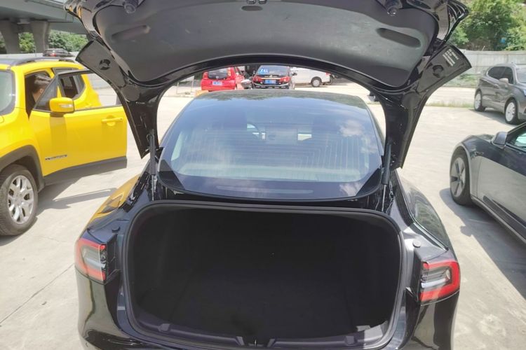 Tesla Model 3 2020 car image #19