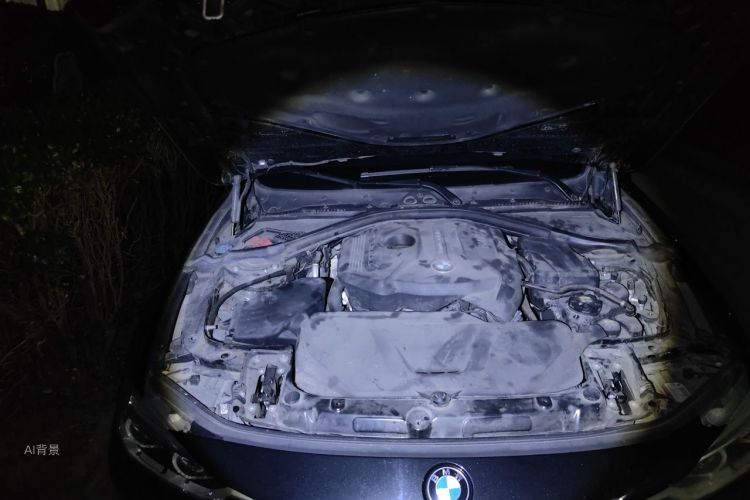 BMW 3 Series 2017 car image #22