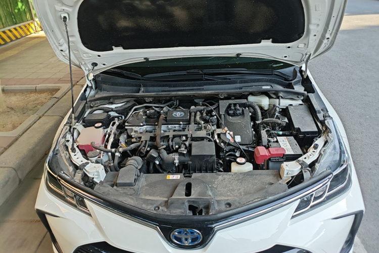 Toyota Corolla 2022 #20 Toyota Corolla 2022 car image #20