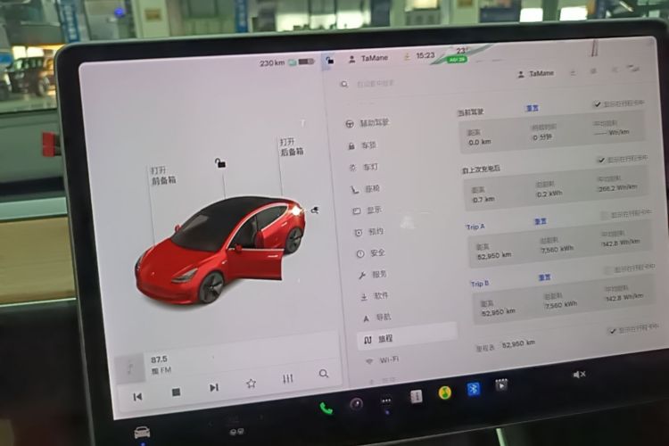 Tesla Model 3 2020 صورة سيارة #12