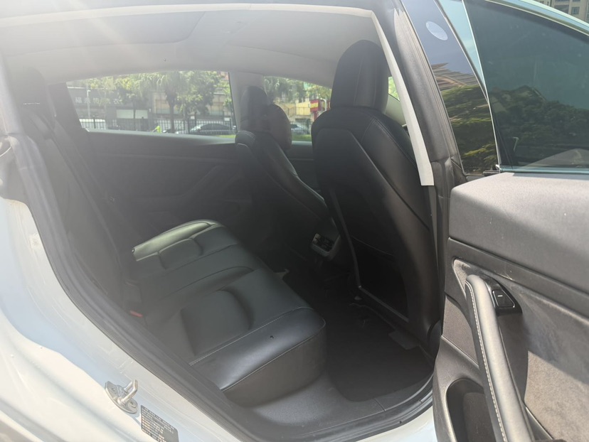 Tesla Model 3 2020 #6 Tesla Model 3 2020 car image #6