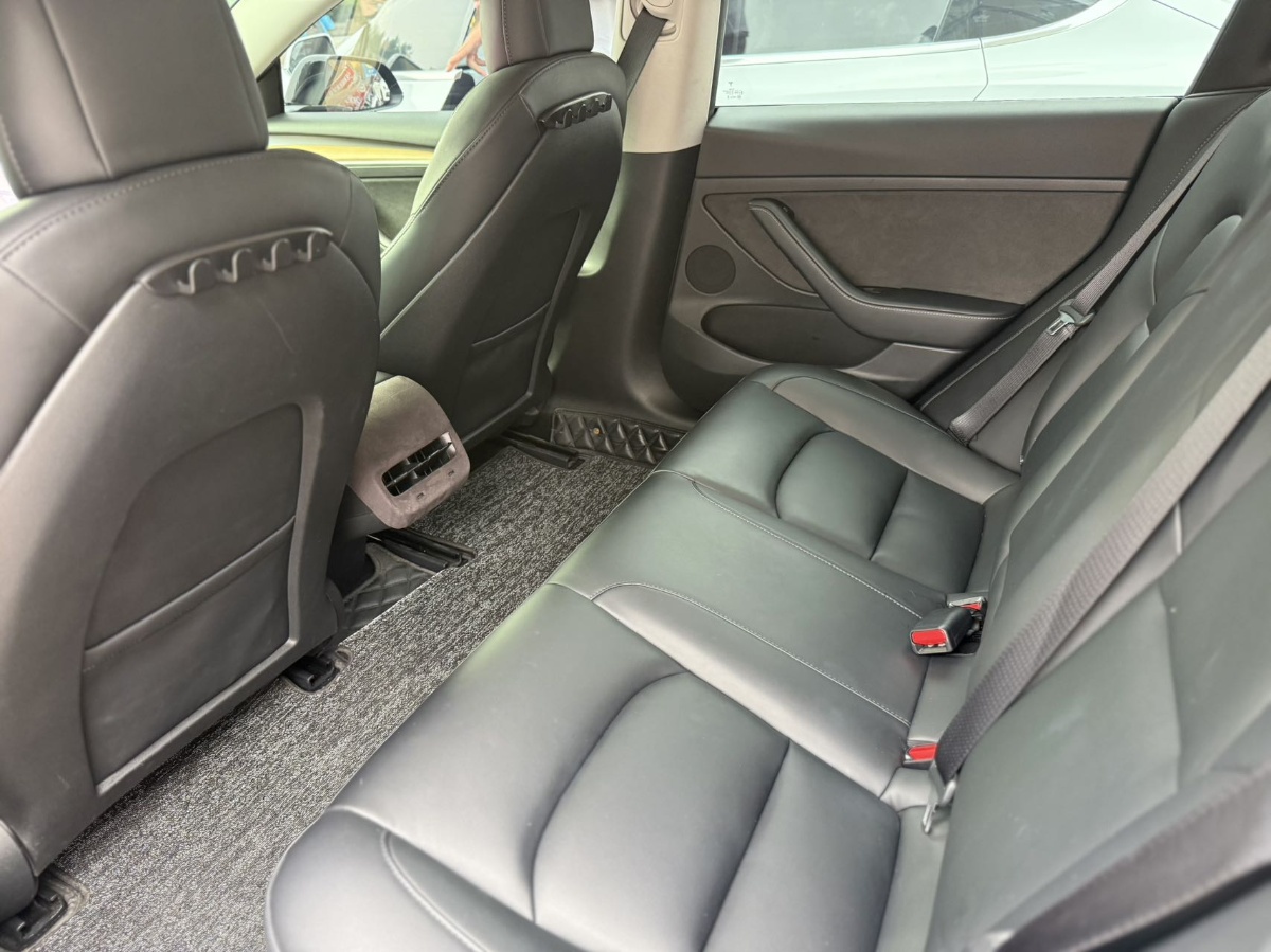 Tesla Model 3 2021 car image #5