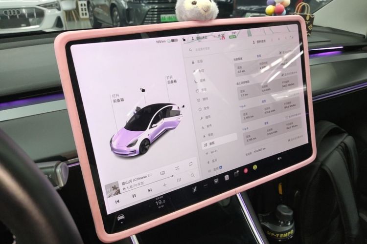 Tesla Model 3 2020 #13 Tesla Model 3 2020 car image #13
