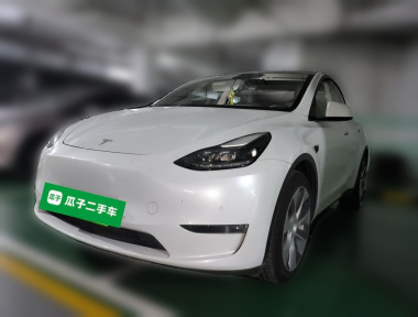 Tesla Model Y 2021 Tesla Model Y 2021 car image