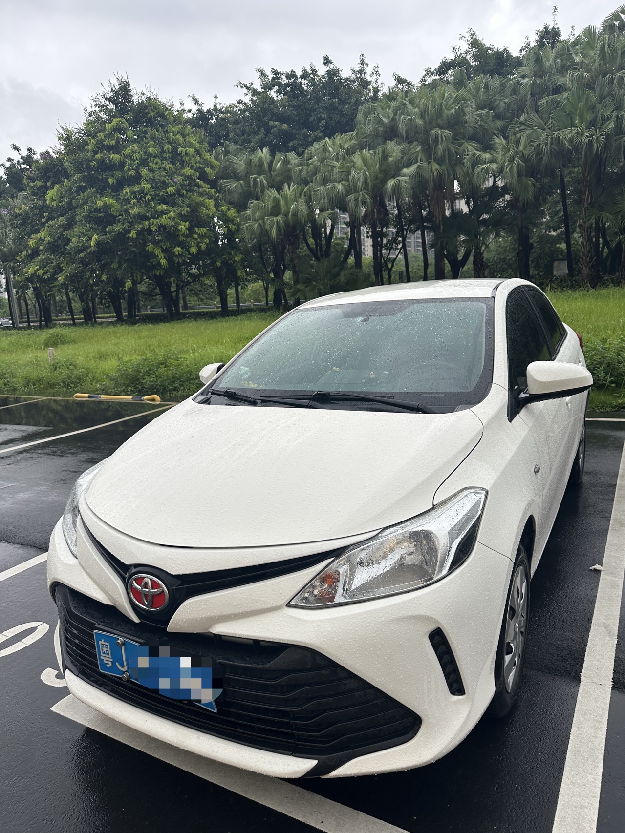 Toyota Vios 2016 car image 