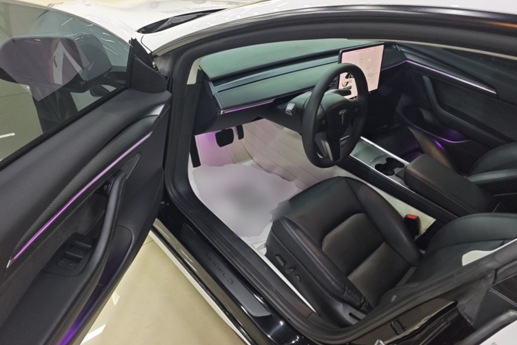 Tesla Model 3 2021 #16 Tesla Model 3 2021 car image #16