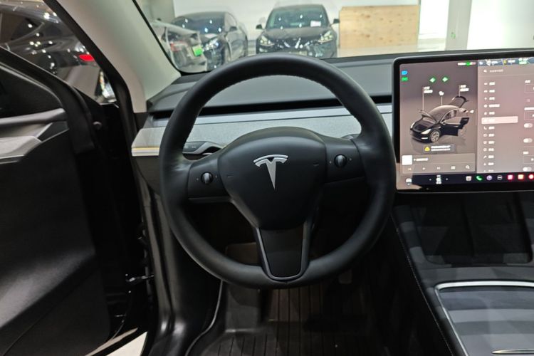Tesla Model Y 2023 car image #15