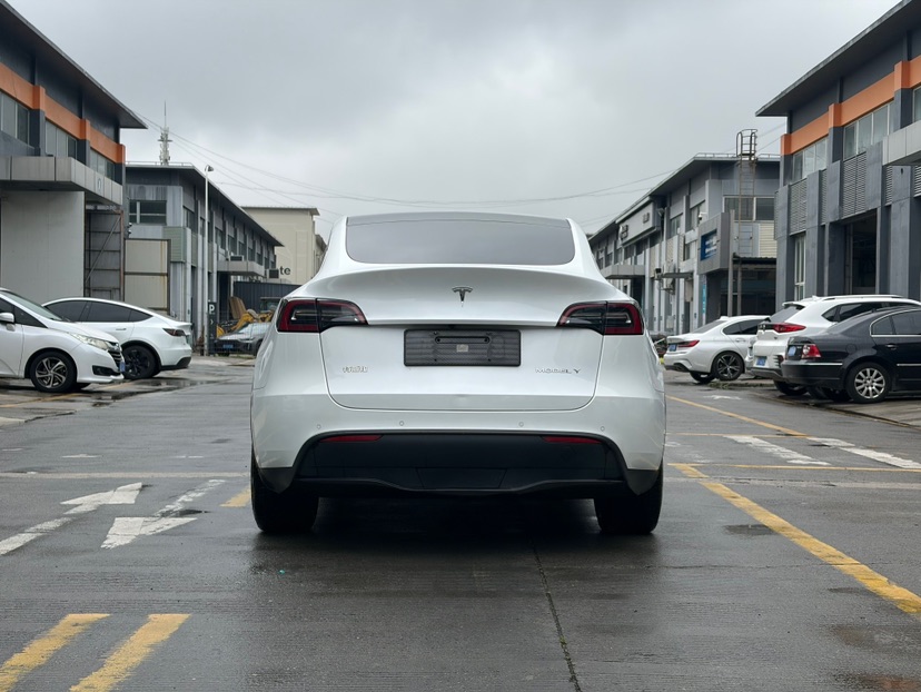 Tesla Model Y 2021 car image #9