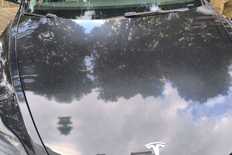 Tesla Model 3 2022 #22 Tesla Model 3 2022 صورة سيارة #22