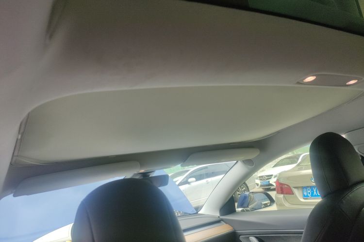 Tesla Model 3 2020 immagine di auto #20