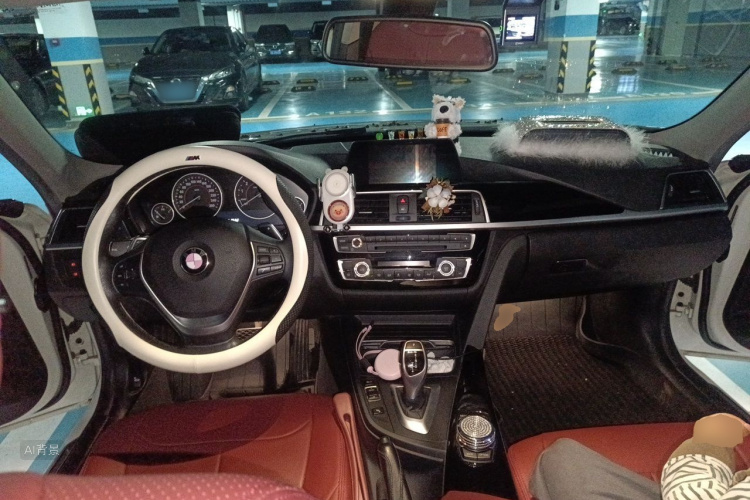 BMW 3 Series 2017 car image #11