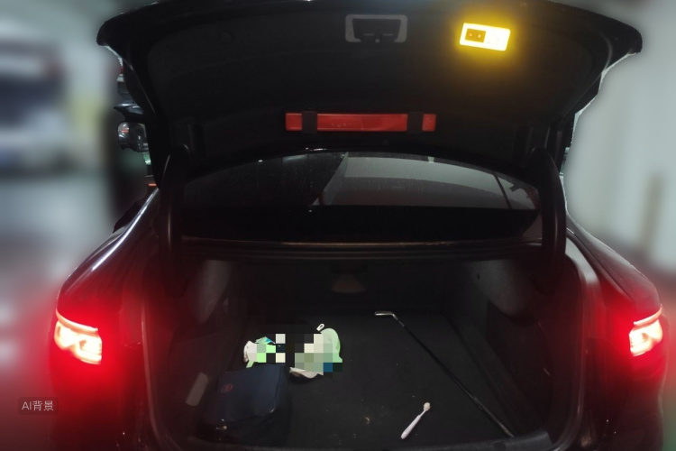 BYD Han 2023 car image #21