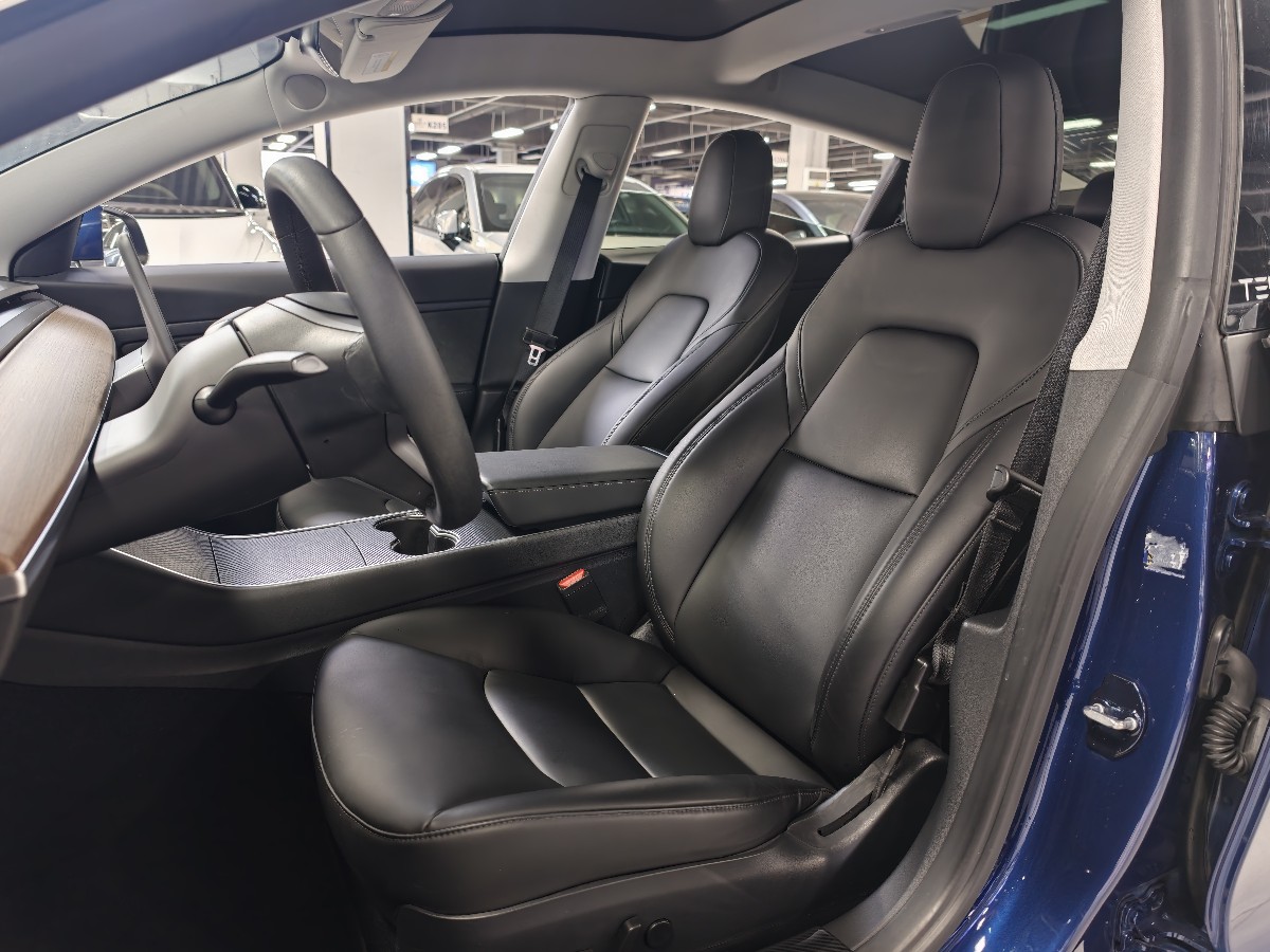 Tesla Model 3 2020 #3 Tesla Model 3 2020 car image #3