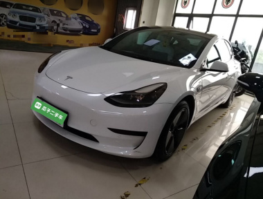Tesla Model 3 2021 Tesla Model 3 2021 car image