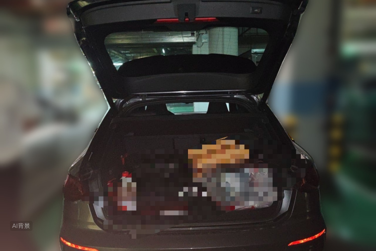 Audi A3 2023 car image #21