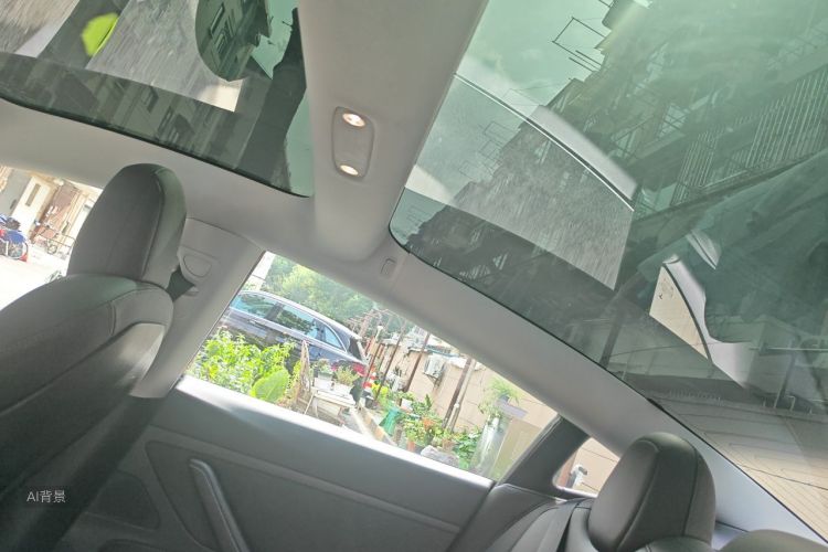 Tesla Model 3 2020 car image #20