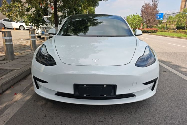 Tesla Model 3 2021 #3 Tesla Model 3 2021 immagine di auto #3
