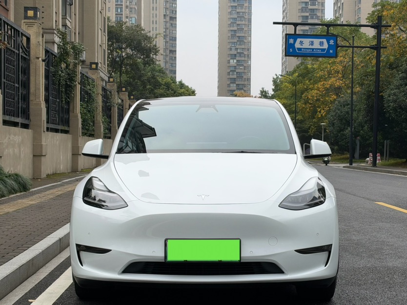 Tesla Model Y 2021 #2 Tesla Model Y 2021 car image #2