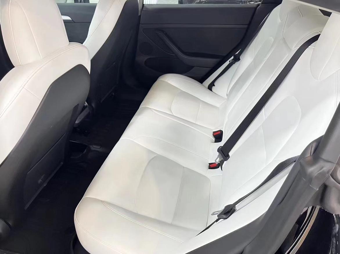 Tesla Model 3 2023 #8 Tesla Model 3 2023 car image #8