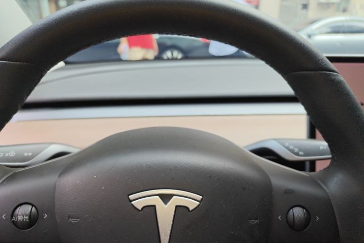 Tesla Model 3 2020 car image #13