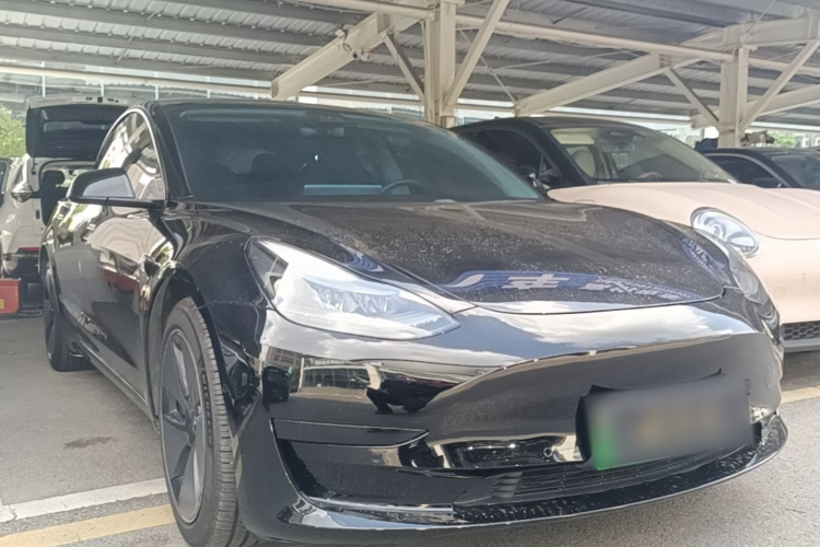 Tesla Model 3 2021 car image #6
