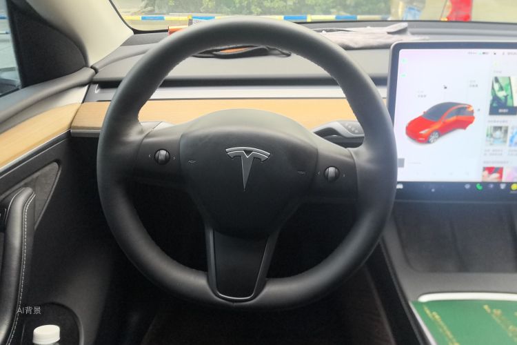 Tesla Model Y 2021 car image #12