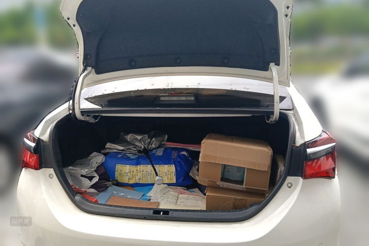 Toyota Corolla 2018 car image #21