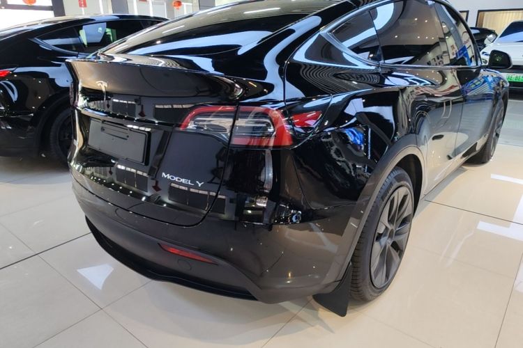 Tesla Model Y 2024 immagine di auto #7