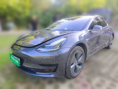 Tesla Model 3 2020 car image 