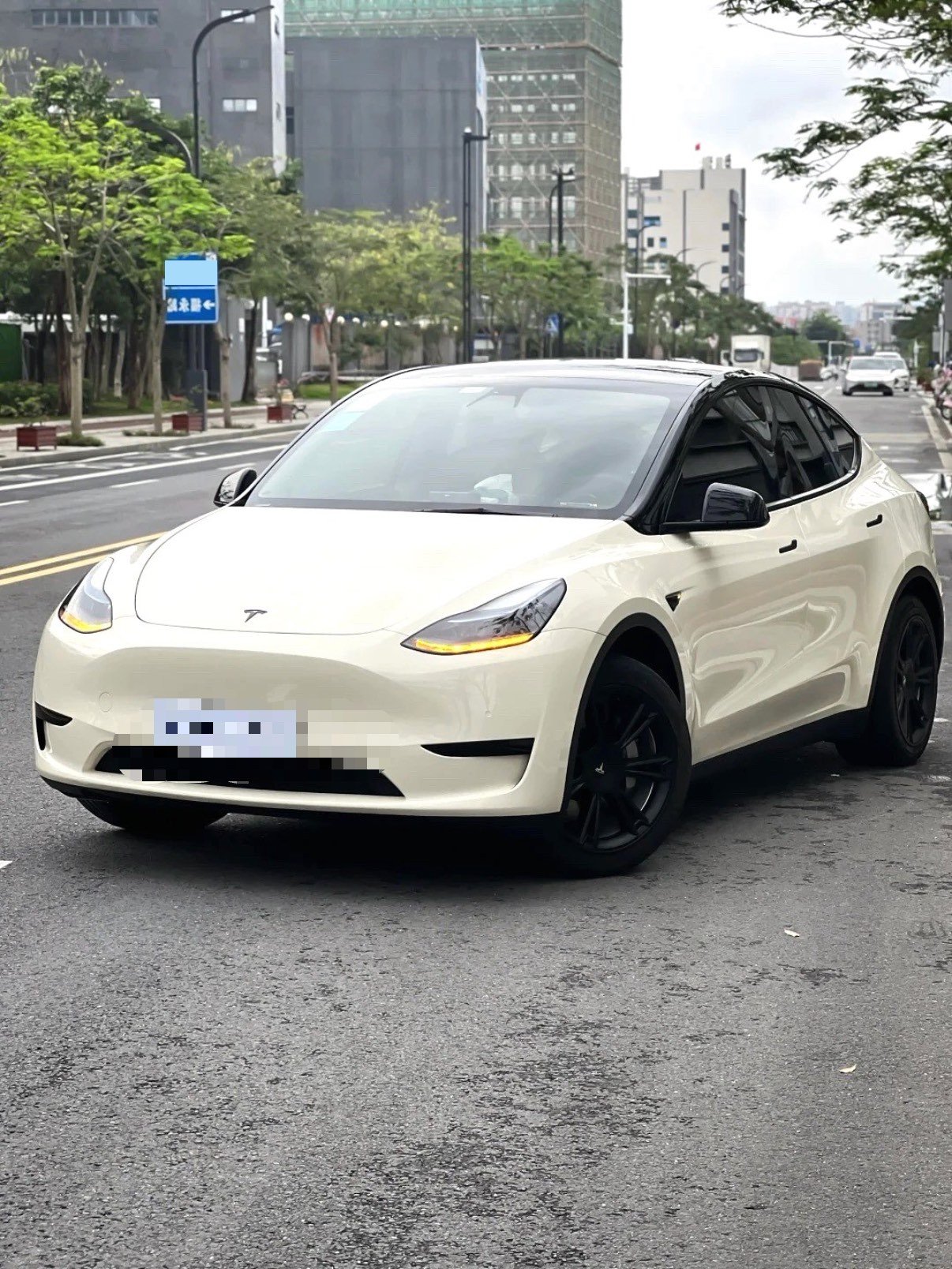 Tesla Model Y 2021 Tesla Model Y 2021 car image