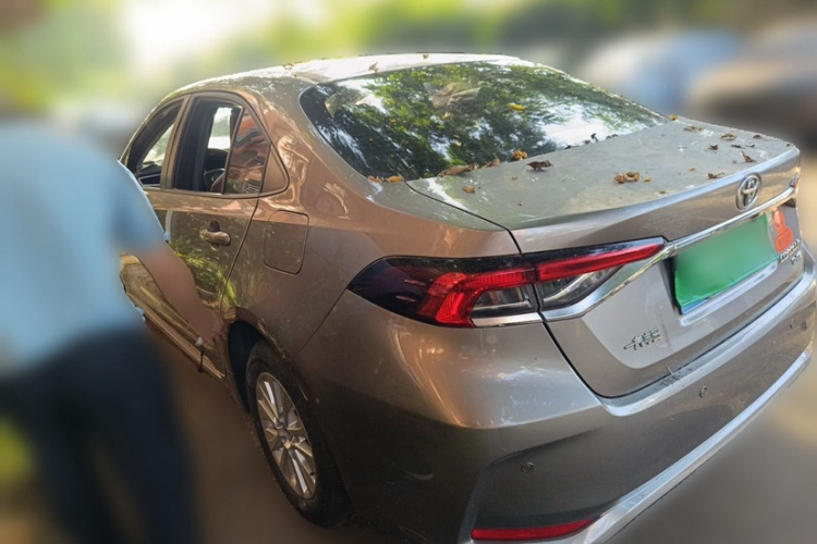 Toyota Corolla 2021 #6 Toyota Corolla 2021 car image #6