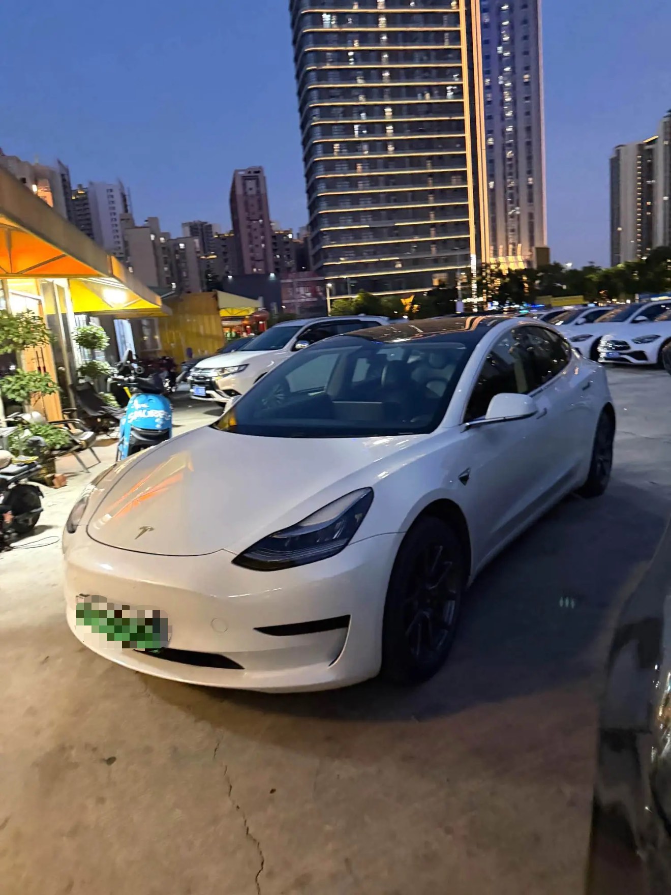 Tesla Model 3 2020 Tesla Model 3 2020 car image