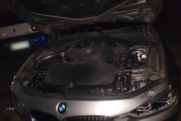 BMW 3 Series 2017 #22 BMW 3 Series 2017 car image #22
