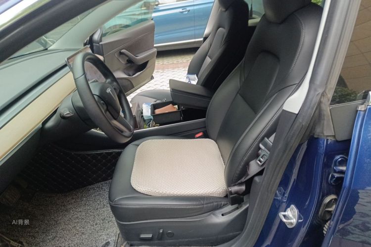 Tesla Model 3 2020 #17 Tesla Model 3 2020 car image #17