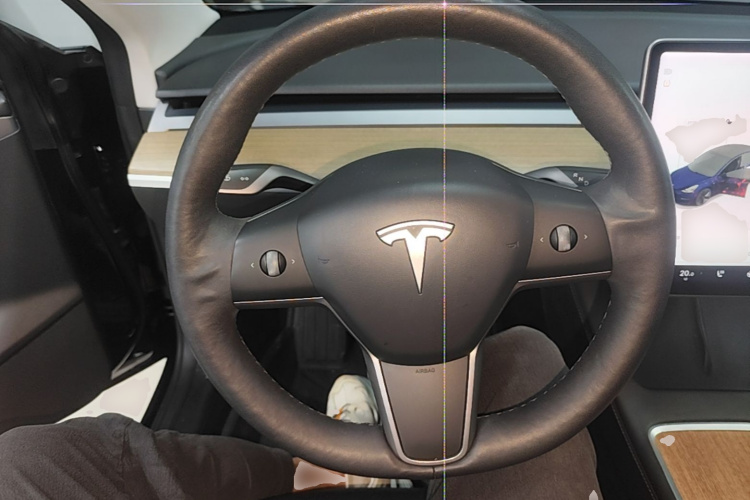 Tesla Model 3 2021 immagine di auto #11