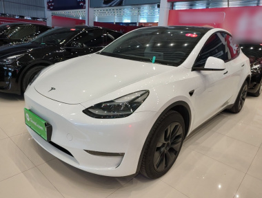 Tesla Model Y 2024 Tesla Model Y 2024 car image