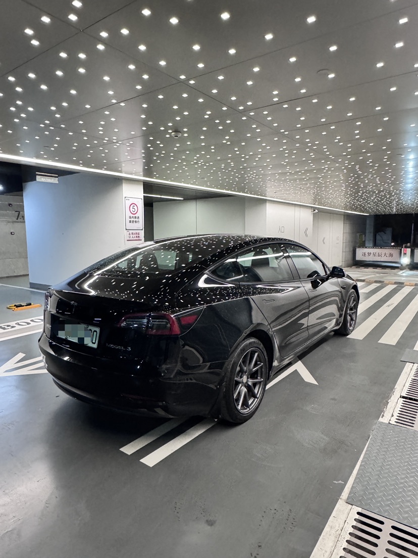 Tesla Model 3 2021 #5 Tesla Model 3 2021 imagen de coche #5