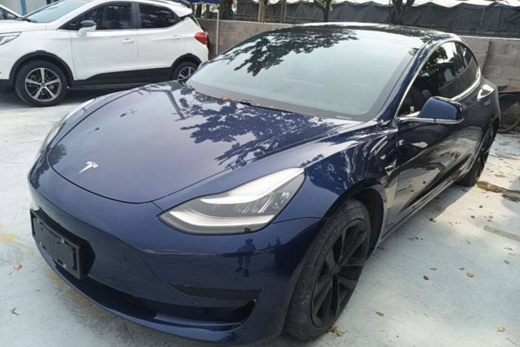 Tesla Model 3 2020 immagine di auto #2